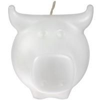  Taurus