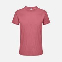 �������� ������� Regent 150, ������� (���������)