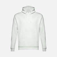 ���� ������� Phoenix, ������-�������