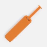 ������ Raio, ���������