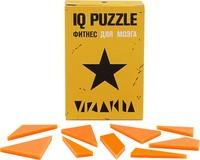  IQ Puzzle, 