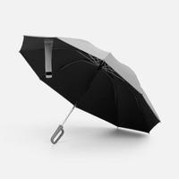 ���� ��������� �������� � ������-��������� Foldberry, �����