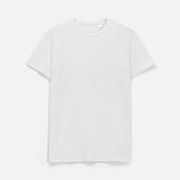 �������� ������� T-Bolka 200, �����