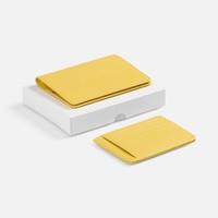 ����� Unison Mini, ������