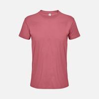 �������� ������� Regent 150, ������� (���������)