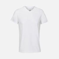 �������� ������� Regent � V-�������� �������, �����