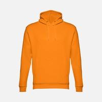 ���� ������� Phoenix, ���������